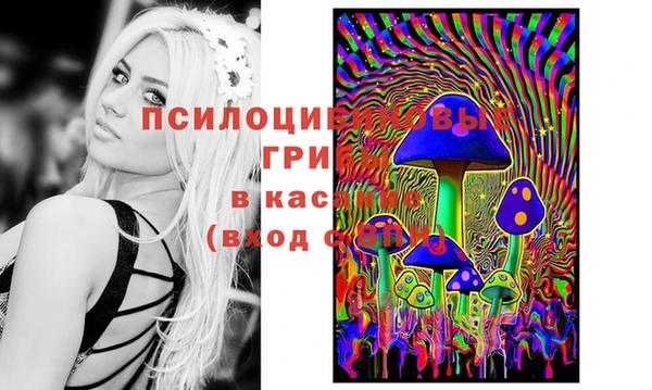 мдпв Балабаново