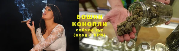 дмт Богородицк